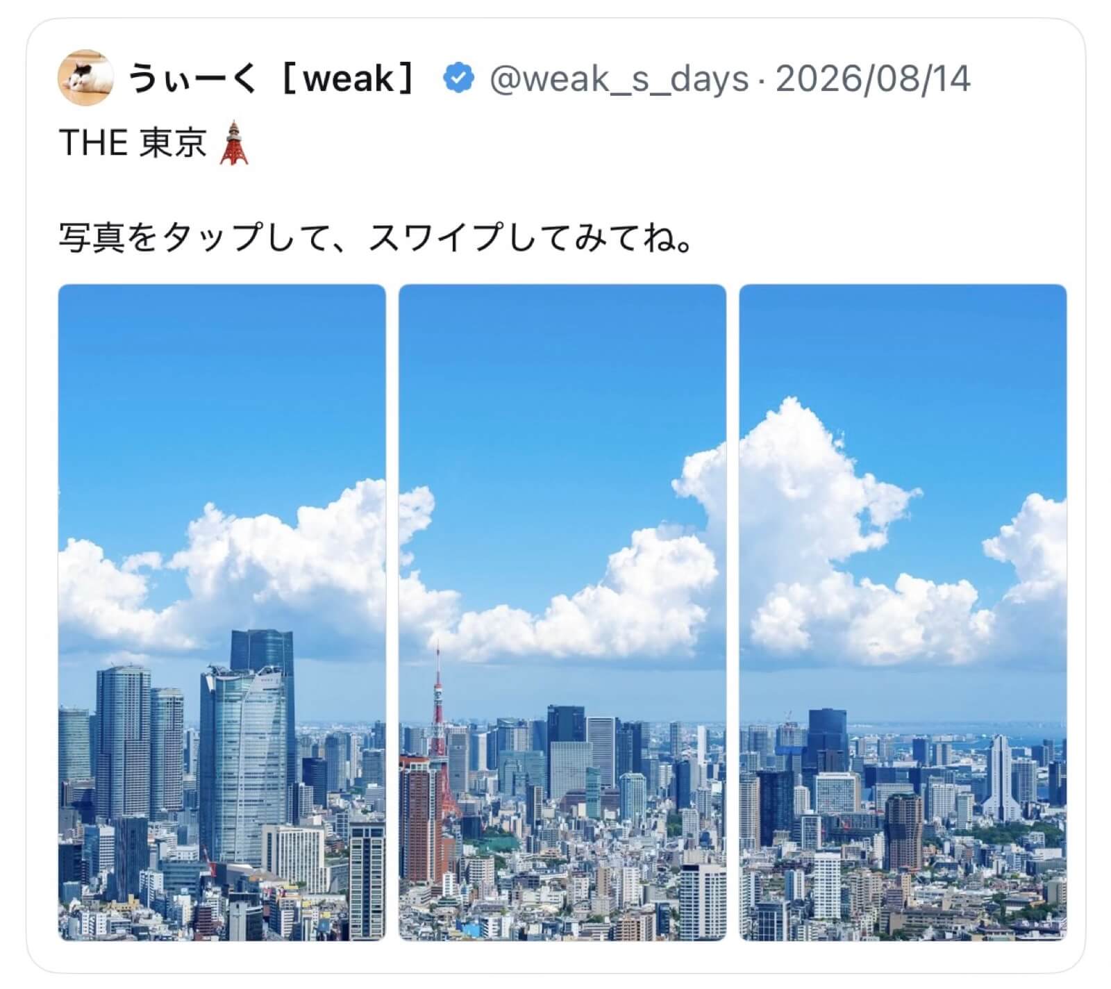 写真を縦に3分割
