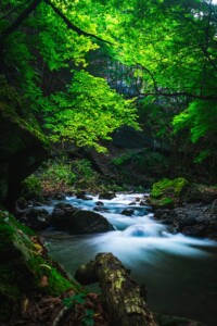 yoshito_photo1