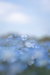 kuma3_photo